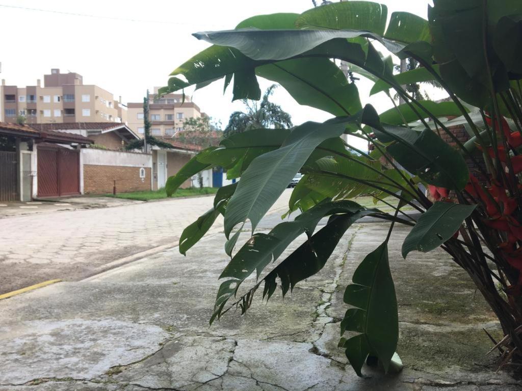 Efferus Hostel ウバトゥバ エクステリア 写真